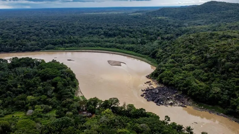 Amazon Alarm Veriyor: Soya Yasağı Kalkarsa Ne Olacak?