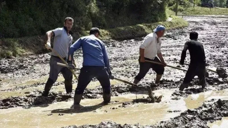 Bitlis'te yüzyıllardır devam ediyor! Bütün köy toplanıp yapıyor, 100 lira fiyatı var