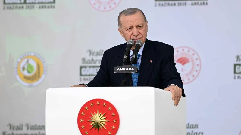 Cumhurbaşkanı Erdoğan'dan açıklama: Orman varlığımız tehdit altında