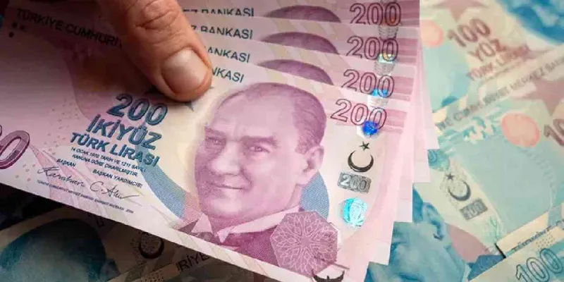 Devlet adet başına 35 TL verecek