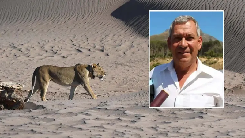Dünyaca ünlü Alman iş insanı Bernd Kebbel'i safaride aslanlar yedi