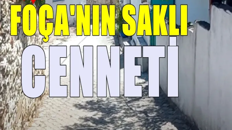 İzmir'in Saklı Cenneti: Foça Ilıpınar Köyü Keşfedilmeye Değer!