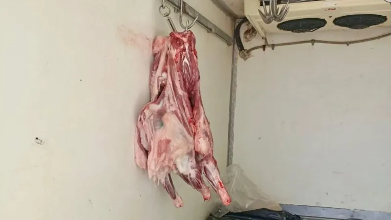 Hatay'da sağlıksız koşullarda taşınan 34 kilogram et ele geçirildi