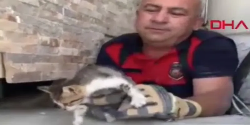 İtfaiye ekipleri yavru kediyi yalnız bırakmadı
