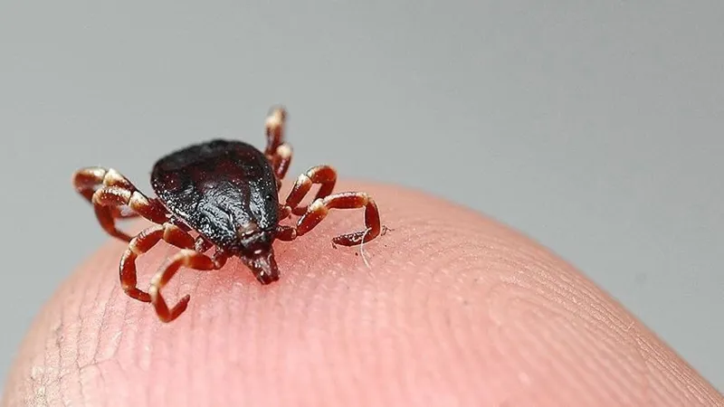 Kırıkkale'de Şok! 15 Yaşındaki Çocuk KKKA Virüsüyle Hastanede!