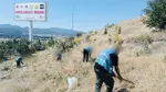 Konya'da yükümlüler Adalet Ormanı'nın bakımını yaptı! Doğa sevgisi aşılandı
