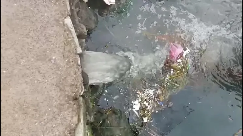 Çevre Katliamına Ceza! O Belediyeye Şok Dava!