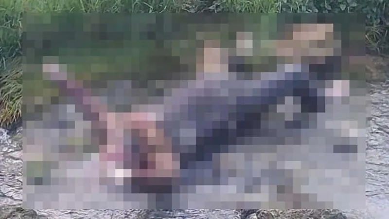 Cezaevi Firarisi Dere Yatağında Ölü Bulundu! Şoke Eden Detaylar