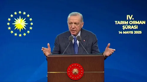 Erdoğan'dan Şaşırtan Açıklama: Ağaçlandırmada Dünya Kaçıncısıyız?