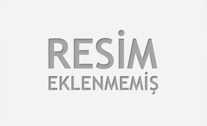 Gazze'de Son Durum: Türkiye ve İslam Dünyası Ne Yapmalı?