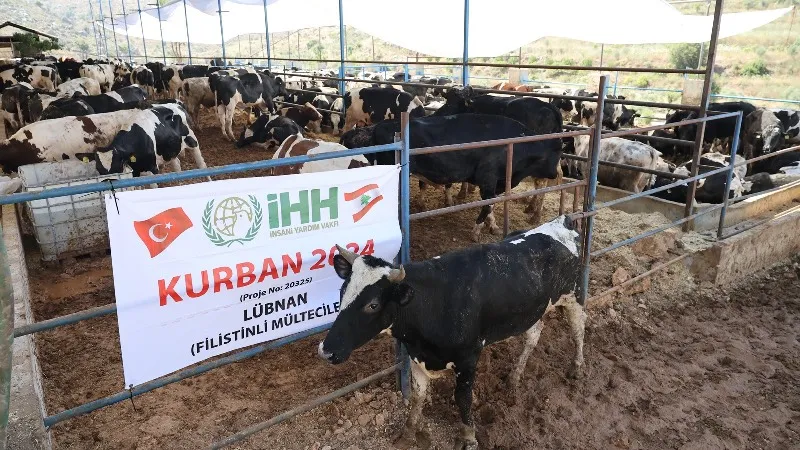 İHH Kurban Bedeli 2024: Bu Fiyata Kurban Kesilir Mi? Şok Rakam!
