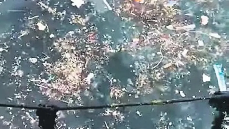 İstanbul Boğazı'nda Çevre Krizi: Çöpler Sahilleri Kapladı