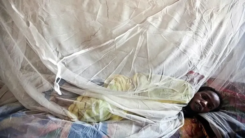 Nijerya'da Lassa Ateşi Alarmı! Ölü Sayısı Rekor Kırdı