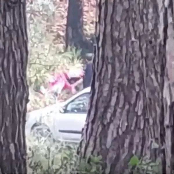 Ormanlık alanda kadına darp kamerada!