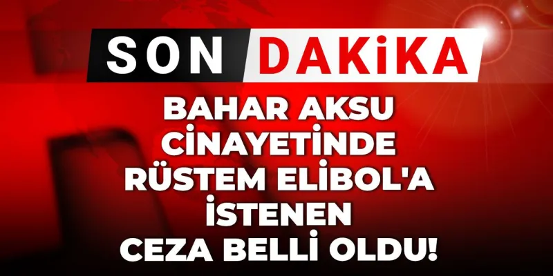 Son dakika|Bahar Aksu cinayetinde Rüstem Elibol'a istenen ceza belli oldu! Kaçırmaya çalışmış, defalarca ateş ederek öldürmüştü