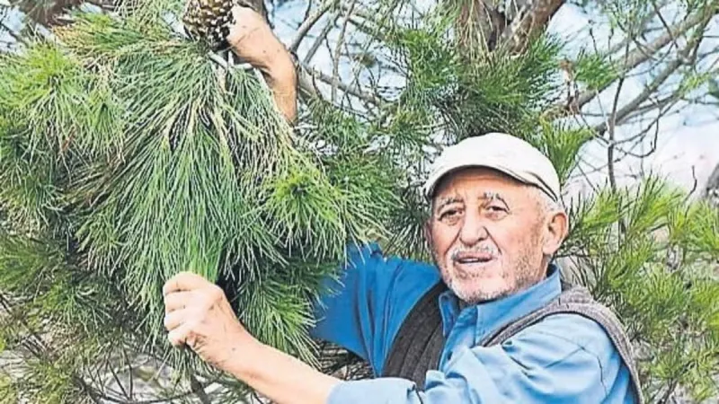 Türkiye’nin ‘orman dedesi’ne veda