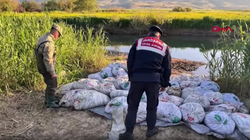 Van'da 22 ton 475 kilogram inci kefali ele geçirildi
