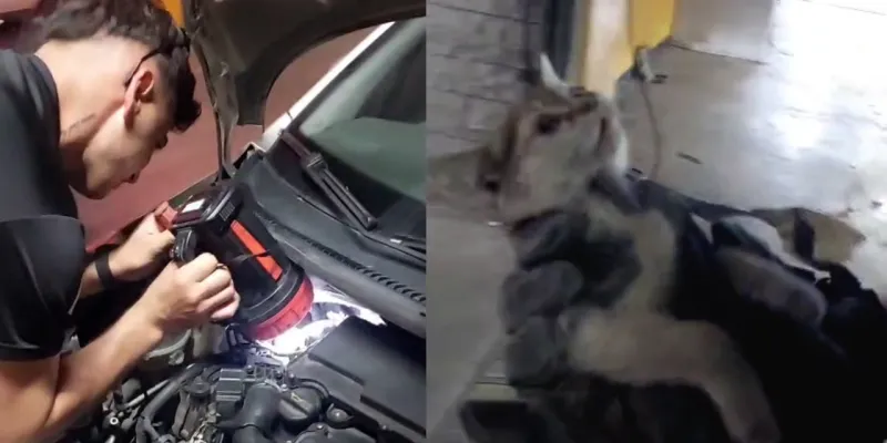 Konya'da İtfaiye ve Yavru Kedi Arasında 4 Saatlik Motor Mücadelesi!